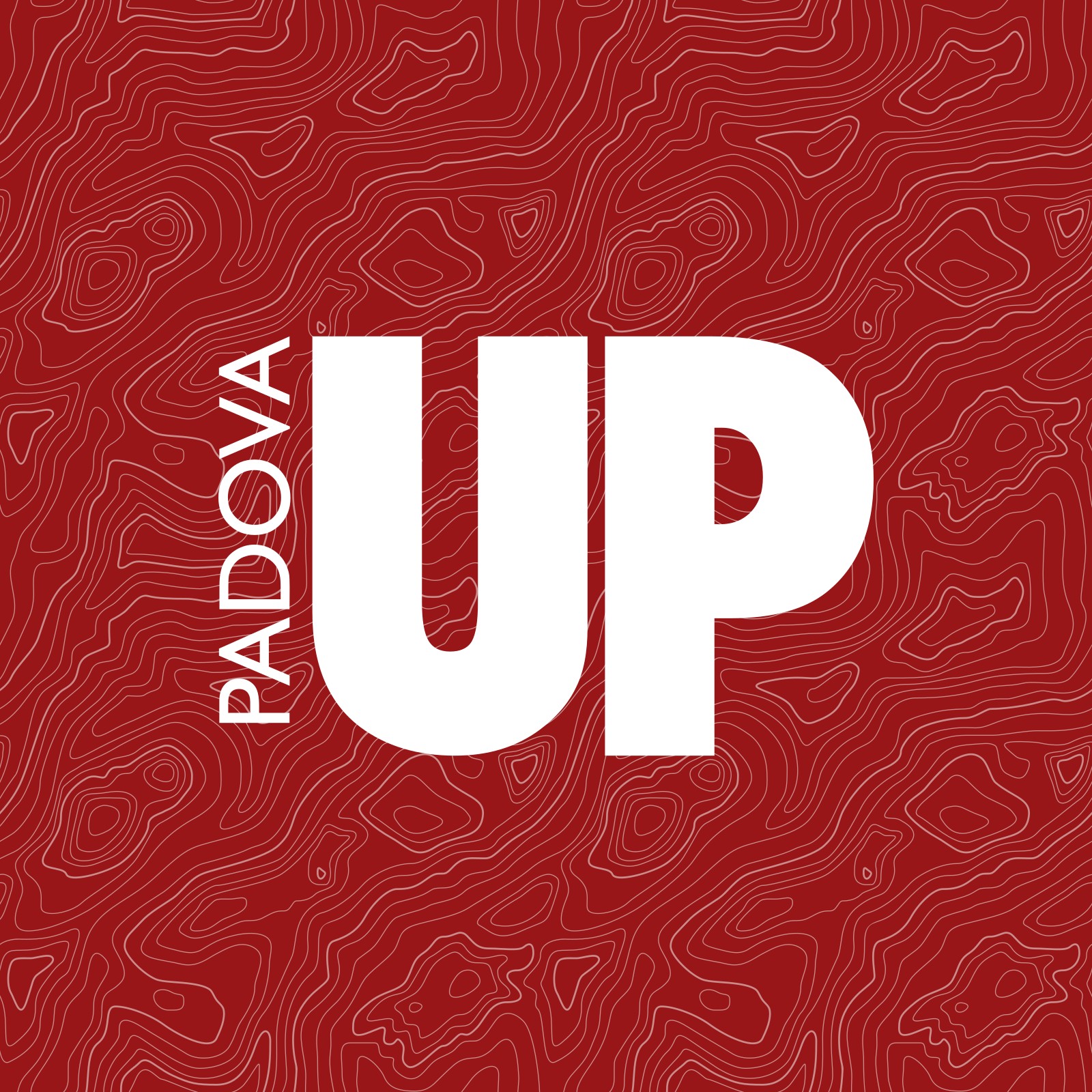 Padova University Press
